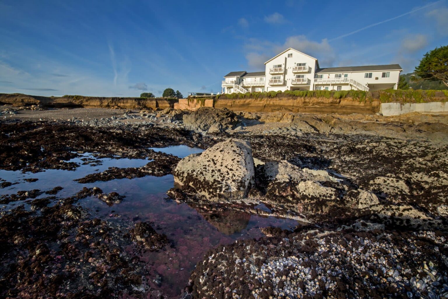 A Beach House Situated Near Rocks and Water in Shelter Cove, CA